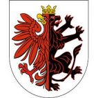 Biegiem na stulecie