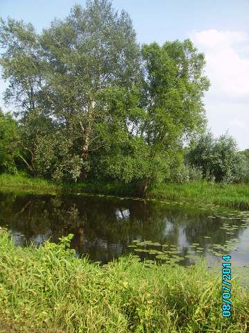 Zdjęcie konkursowe