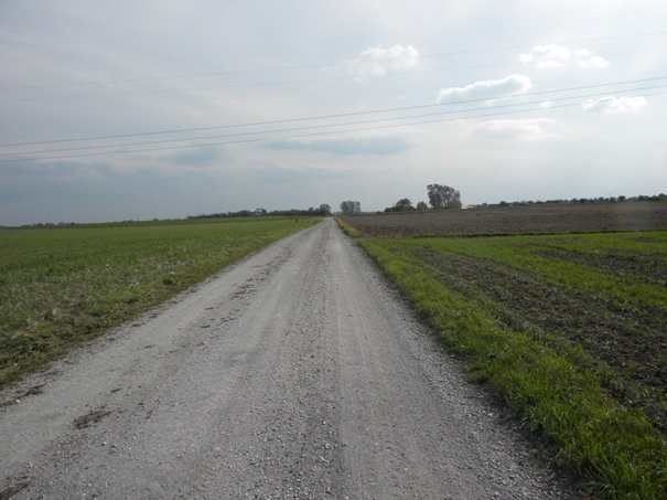 Nowa nawierzchnia w Grzybnie