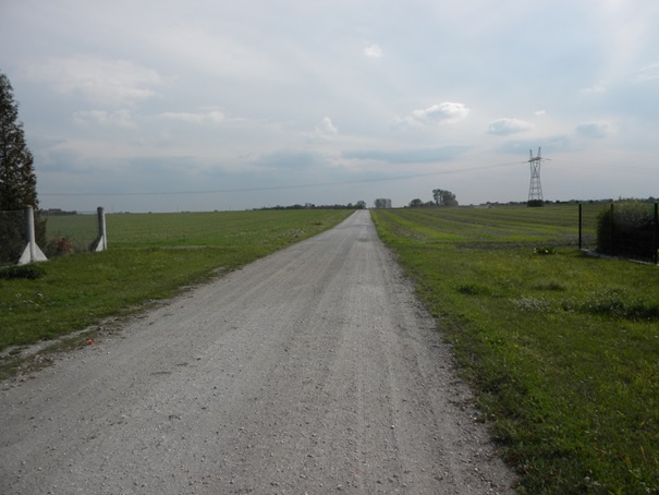 Nowa nawierzchnia w Grzybnie