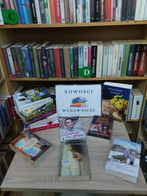 Zdjęcie przedstawiające dostępne książki np. Zimowy Sen, Pozory mylą