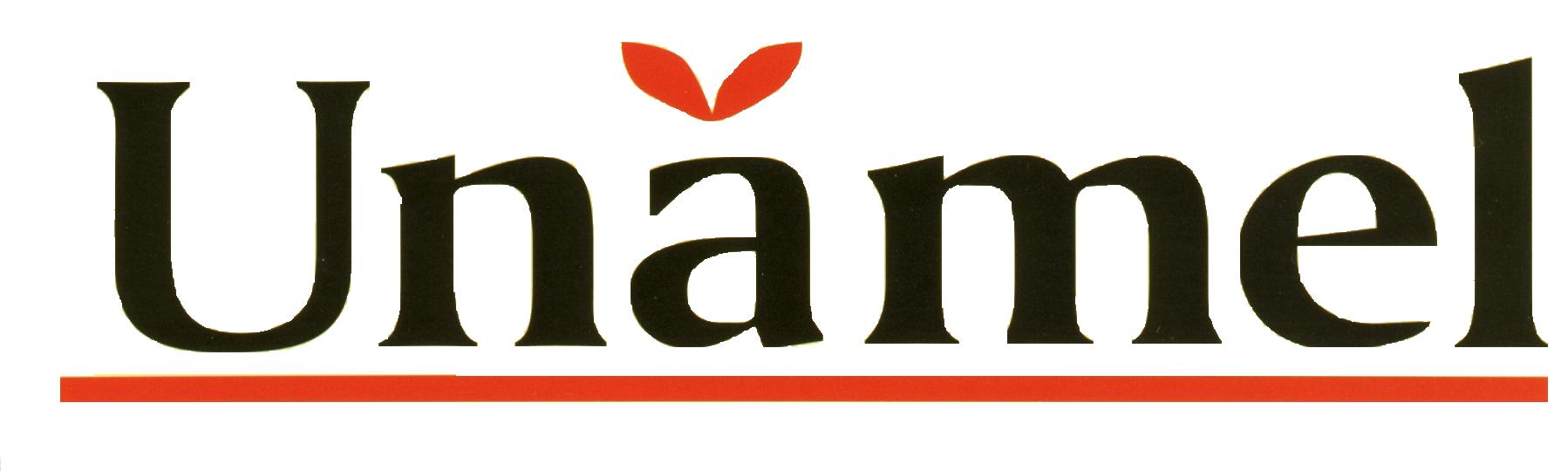 UNAMEL